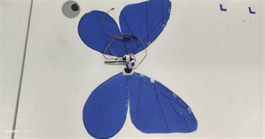 机电工程学院学子攻关仿真机械蝴蝶与管道机器人获荣获进展